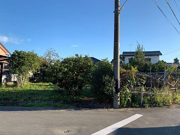 開放感のある人気の角地です。