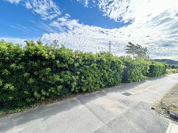 自然の残る穏やかな住環境。のびのびとした環境で子育てができそうです。