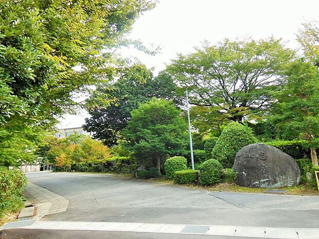 葵中学校　約786ｍ　徒歩約10分岡崎市伊賀新町に位置する中学校。