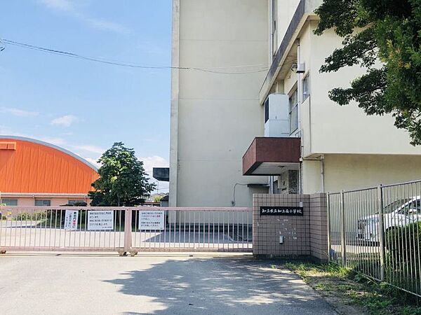 知立南小学校まで約818ｍ/徒歩約11分　知立市新林町にある公立小学校。1979年（昭和54年）4月開校。2005年（平成17年） 南校舎が完成する。