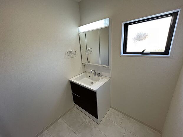 シャワー付洗面化粧台。三面鏡の裏側と洗面台下に収納スペースがあります。