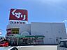 周辺：スギ薬局新舞子店まで　865m　徒歩約11分
