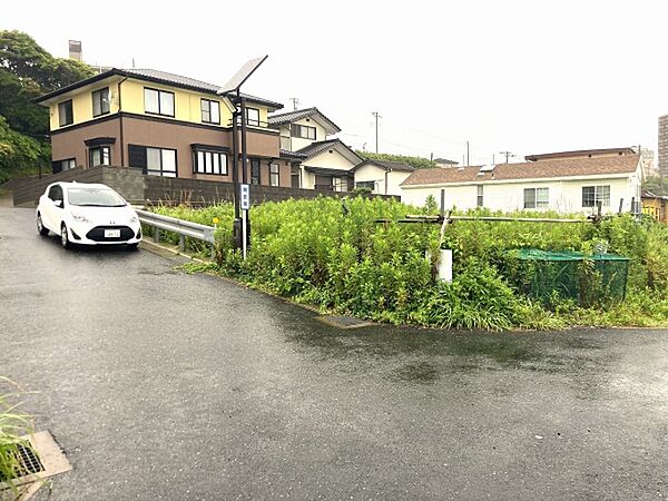 外観：308000184191