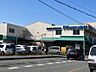 周辺：現地よりスーパー万代まで1000ｍ