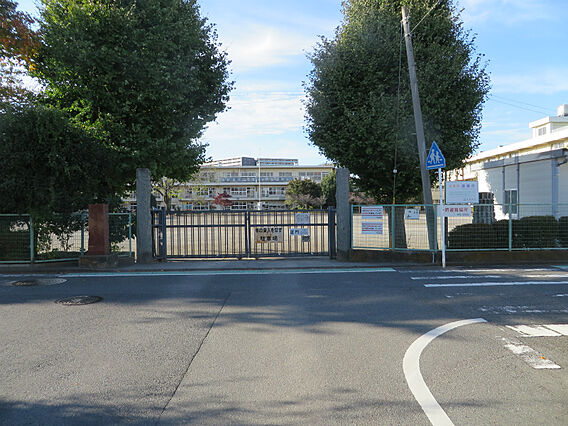 淵野辺小学校ま...