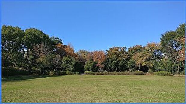 小山田桜台6号緑地まで約810ｍ