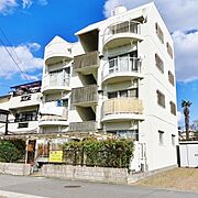 ハイツ フォレスタ 4階 築48年5ヶ月の賃貸物件