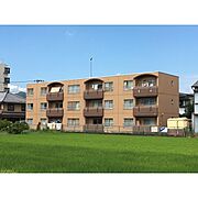 ロイヤル渡辺 1階 築42年10ヶ月の賃貸物件