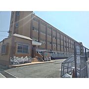 サンビーム八代 1階 築48年11ヶ月の賃貸物件