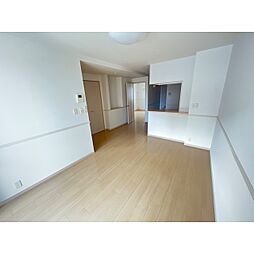 Ｄｒｅａｍ　Ｌｉｇｈｔｓ 103 1階1LDKのリビング/ダイニング