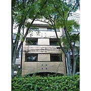 八幡町安藤ビル3- 3階 築29年3ヶ月の賃貸物件