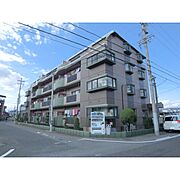 メゾン河村 1階 築41年8ヶ月の賃貸物件