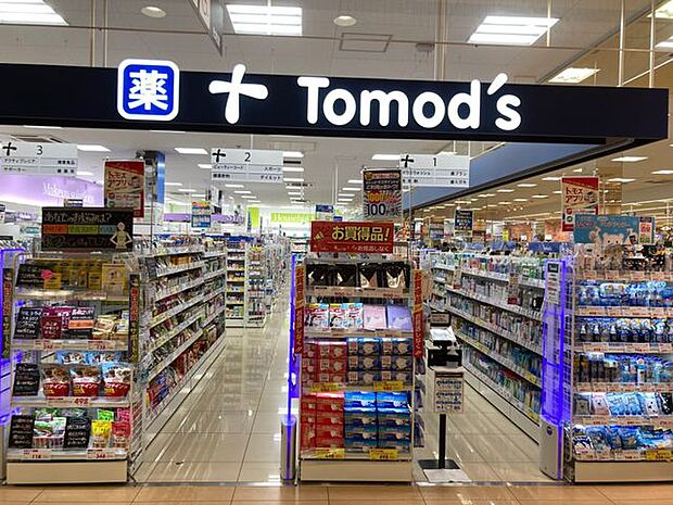 トモズ鳩ヶ谷駅前店 徒歩8分。 640m