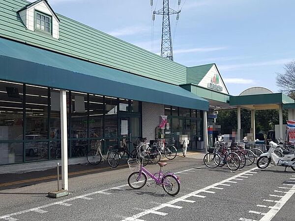 マルエツ/安行慈林店 徒歩11分。 880m