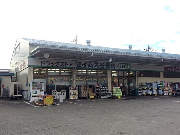 ドラッグセイムス谷塚店 徒歩4分。 250m