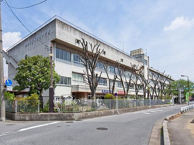 草加市立両新田小学校 徒歩4分。 270m