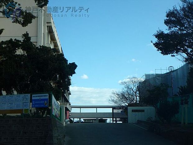 明石市立大蔵中学校 徒歩4分。 260m