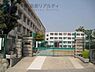 周辺：神戸市立白川小学校 徒歩13分。 1040m