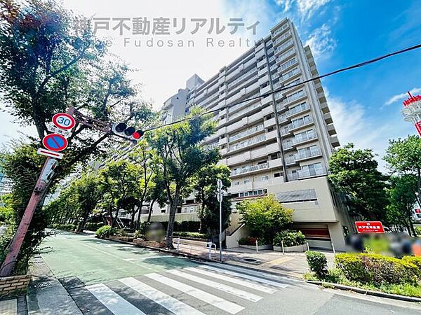 外観：328000666400