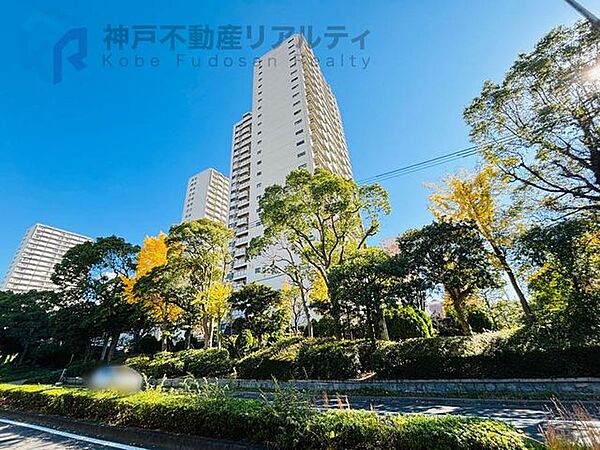 外観：328000673730