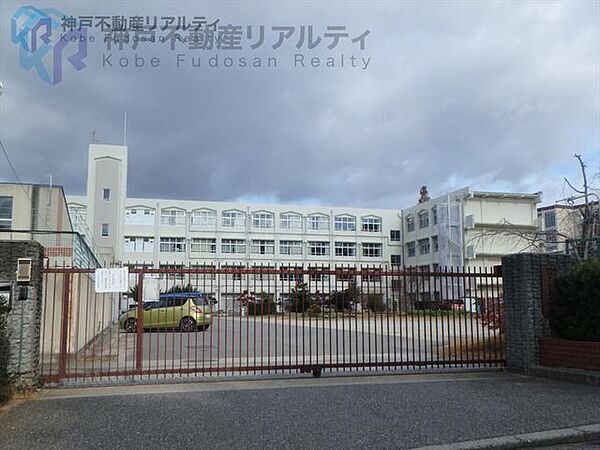 神戸市立つつじが丘小学校 徒歩4分。 300m