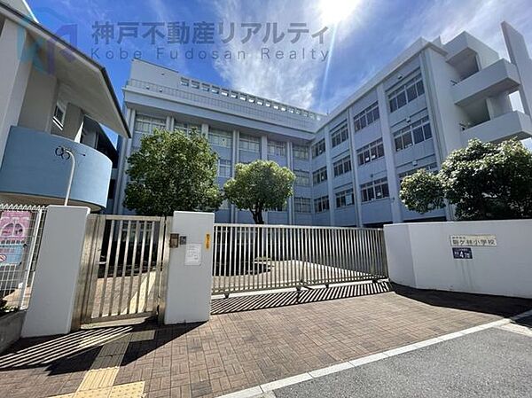 神戸市立駒ヶ林小学校 徒歩7分。 520m