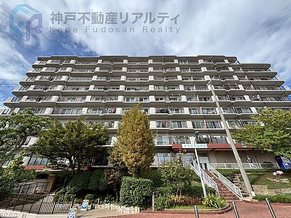 外観：328000674451