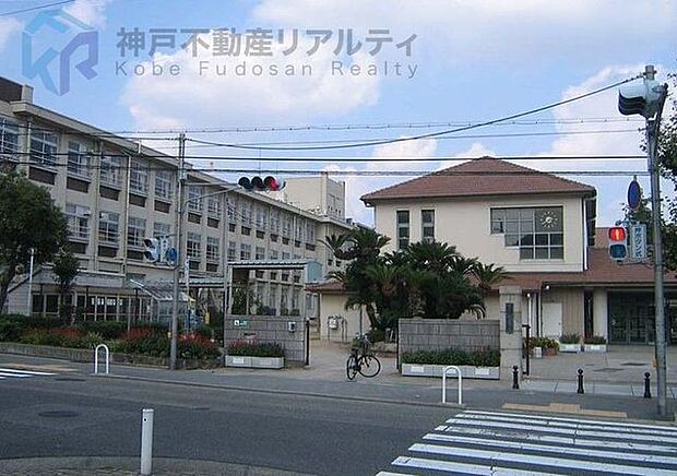 神戸市立住吉小学校 徒歩11分。 850m