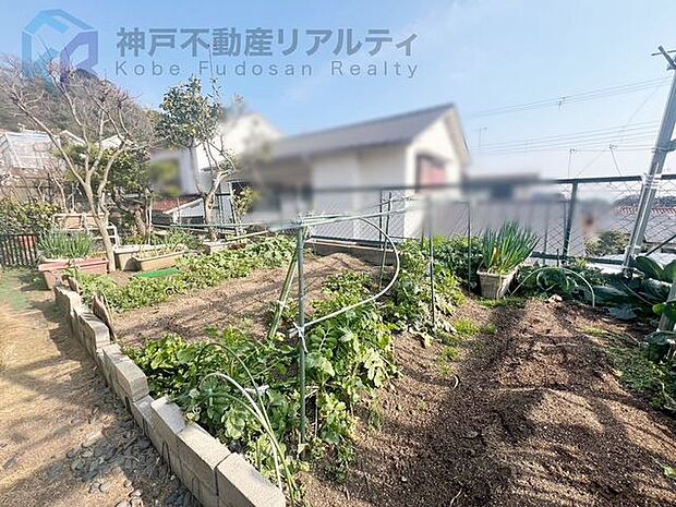 ■お庭では家庭菜園などもお楽しみいただけます♪
