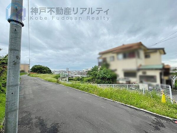 1号地