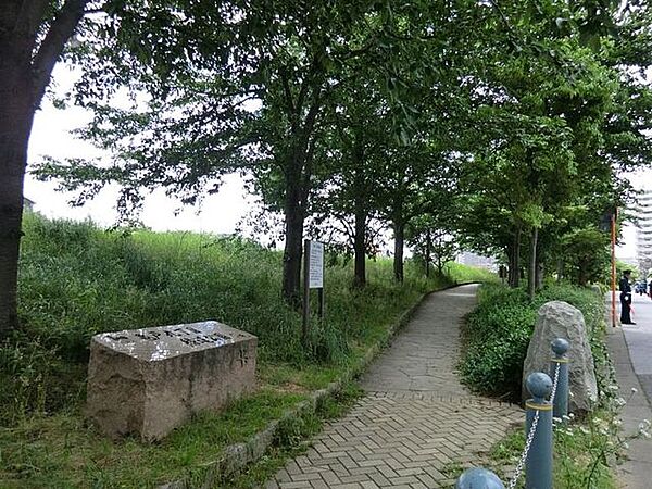 亀戸九丁目緑道公園 徒歩11分。 820m