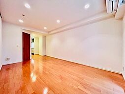 ブリリアイスト三軒茶屋アイビーテラス 121 1階ワンルームのリビング/ダイニング