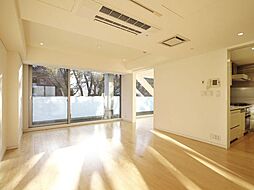 表参道ヒルズゼルコバテラス W307 3階1LDKのリビング/ダイニング