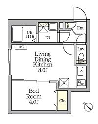 アグライア新宿横寺町 1LDKの間取図画像