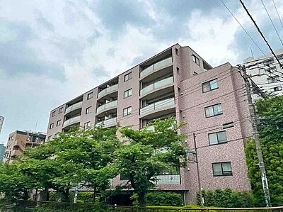 外観 外観