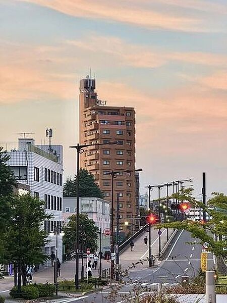 周辺には整備された道路や陸橋があり、街路樹の緑とともに高層のマンションやビルなどの建物が点在する街並みを望むことができます。