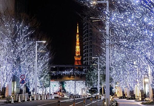六本木ヒルズ 夜間には街路樹にイルミネーションが施され、街灯や整えられた歩道沿いを華やかに彩る街並みが広がっており、奥にはタワー状の建築物や高層ビルがそびえ立つ周辺環境となっております。 1180m