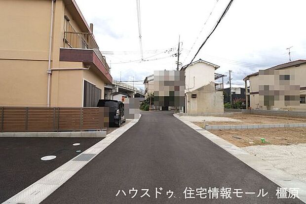 2025年9月5日撮影