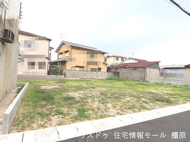 2025年7月4日撮影