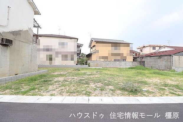 2025年7月4日撮影