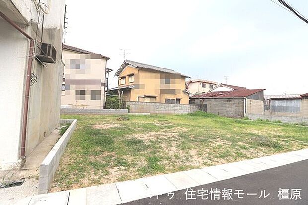 2025年7月4日撮影