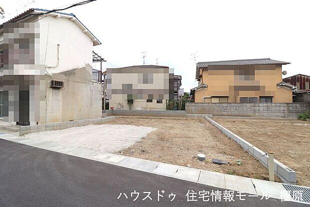 2025年9月5日撮影