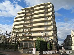 レックスコートオークティ