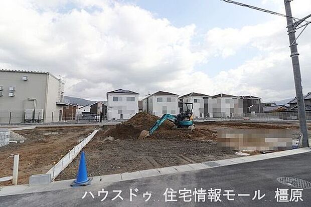 (2025年11月10日撮影)