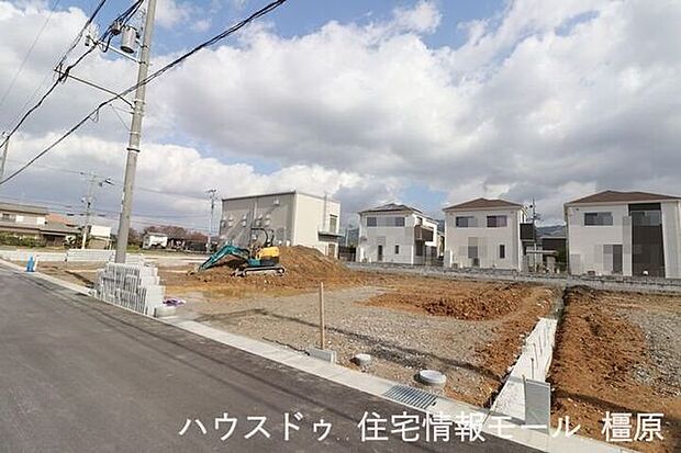 (2025年11月10日撮影)