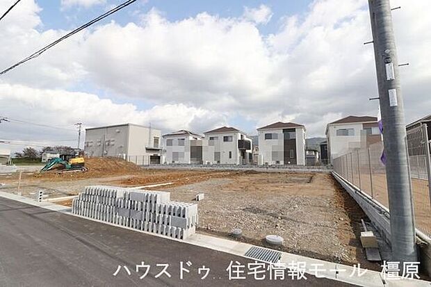 (2025年11月10日撮影)