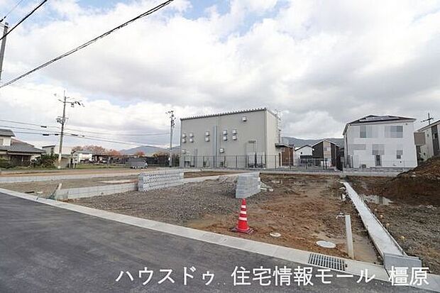 (2025年11月10日撮影)