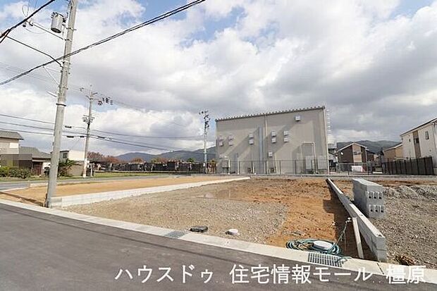 (2025年11月10日撮影）