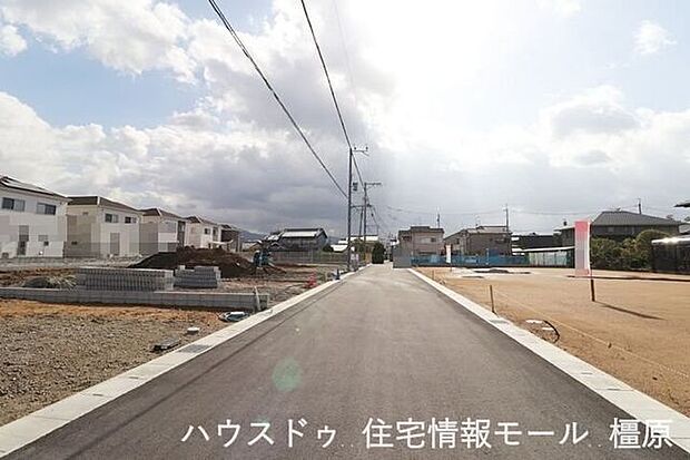 (2025年11月10日撮影）