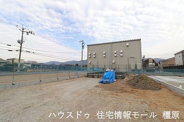 (2025年12月11日撮影）